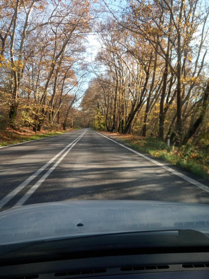 Lampros Studio Калампака Екстериор снимка
